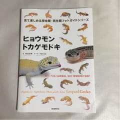 ヒョウモントカゲモドキ 見て楽しめる爬虫類・両生類フォトガイドシリーズのサムネイル