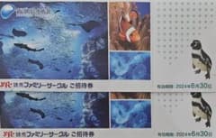 江の島水族館　招待券２枚セットのサムネイル