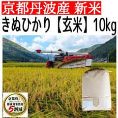 新米【玄米10kg】キヌヒカリ 農薬5割減 京都・京丹波産 農家直送