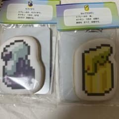 未開封 ポケパーク ポケモン クッキー 2個セット キズぐすり 限定