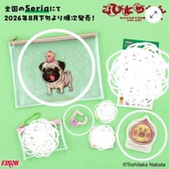 こびとづかん　セリア3点セットのサムネイル