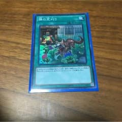 遊戯王 隣の芝刈り スーパーレアのサムネイル