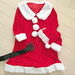 サンタ コスプレのサムネイル
