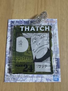 ONE PIECE 새치 아크릴 블록 매력