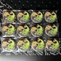 projectvoltage 缶バッジ じめんミク フライゴン 12個 ポケミク - メルカリ