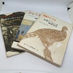 アトリエNO.602、NO620、別冊アトリエNO114のサムネイル