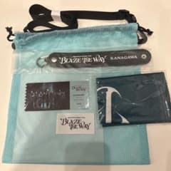 &TEAM BLAZE THE WAY アプグレ特典 神奈川のサムネイル