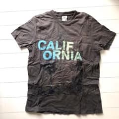 ホリスターTシャツのサムネイル