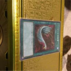 ⚠️ EXEM様 専用 ハーピィの羽根箒 二枚セットのサムネイル