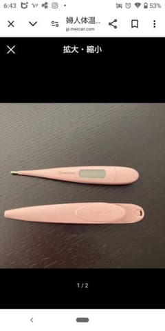 婦人体温 テルモのサムネイル