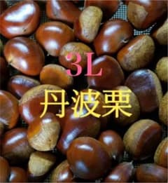無農薬 丹波栗のサムネイル