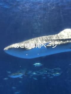 あこ様専用のサムネイル