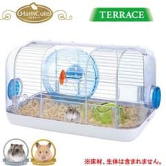 ゲージのサムネイル