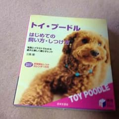 トイプードル初めての飼い方躾方のサムネイル