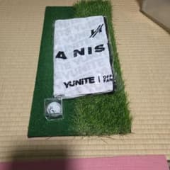 西村優菜　ファンクラブ　箱入りサインボールとスポーツタオルのサムネイル