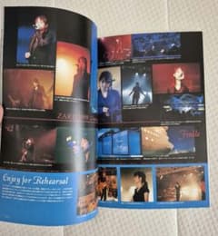 総集本 ZARD ファンクラブ WEZARD SPECIAL EDITION - メルカリ