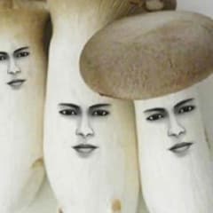 よーさん様専用のサムネイル