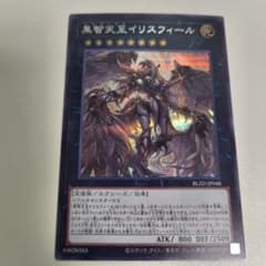遊戯王 黒智天至イリスフィール シークレット シク 1枚 - メルカリ