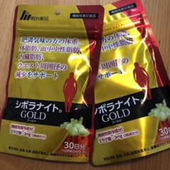 good day(#´ᗜ`#)ニコニコ様専用　シボラナイトGOLD  2袋