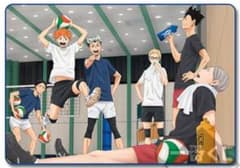 ハイキュー‼︎  ブランケット　第3体育館組のサムネイル
