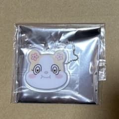 ぴっちえい様専用 KARA スンヨン アクキー②のサムネイル