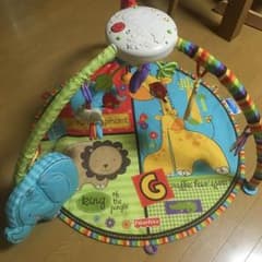 フィシャープライス ジムのサムネイル