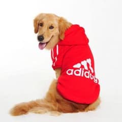 みぃ*様専用  アディドッグ 犬用パーカーのサムネイル