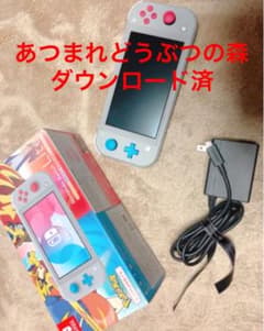 ニンテンドーSwitch lite 本体 あつまれどうぶつの森ダウンロード済のサムネイル
