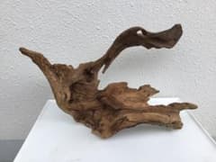 極上流木！！^_^ 売り切り価格^_^のサムネイル