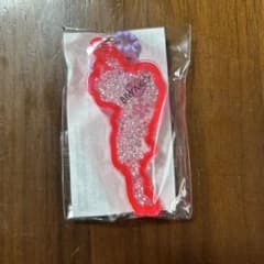 琵琶湖キーホルダー　赤色のサムネイル
