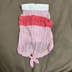 犬服 BEACHE HOLIC ビーチェホリック ストライプフリルシャツ　Ｌのサムネイル
