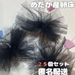 めだか　産卵床　チュール生地　25個セットのサムネイル