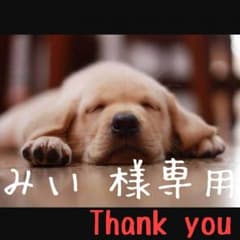 みい☺︎様専用出品のサムネイル
