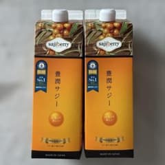今話題の豊潤サジー　1000mlを2本セット 豊潤サジー 1000ml×2本セット サジージュース【紙パックタイプ】_M327
