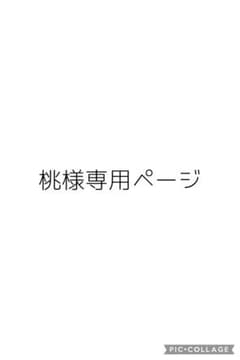 桃様 専用ページのサムネイル