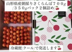 山形県産 朝採りさくらんぼ 700gのサムネイル