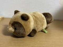 너구리와 여우 봉제인형 너구리 썬 애로우 네세베리 #12