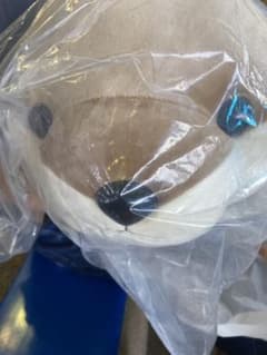 新江ノ島水族館　カワウソくじ　特等ぬいぐるみのサムネイル