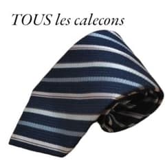 【美品】TOUS les calecons　ネクタイのサムネイル