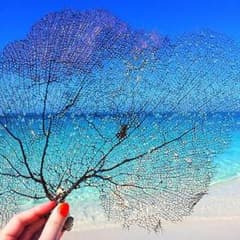 専用ページのサムネイル