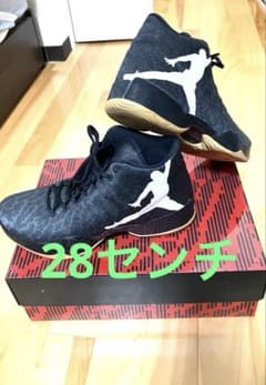 NIKE AIR JORDAN XX9 Q54 QUAI 54 28cmのサムネイル