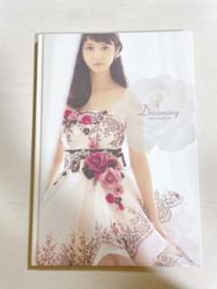 佐々木希 FANCYパンフレット 非売品のサムネイル