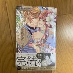 帝都初恋心中 9(完)のサムネイル