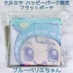 限定品 ナルミヤ ハッピーパーク クリアフラットポーチ ブルーベリエ