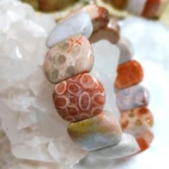 天然石フォッシルコーラルバングル - メルカリ