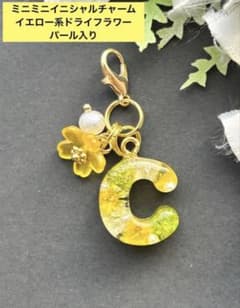 C ミニミニ イニシャルチャーム イエロー系ドライフラワー レジン