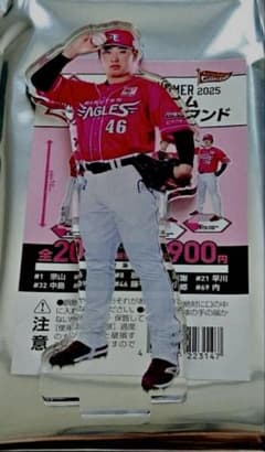 EAGLES SUMMER アクスタ　　藤平尚真　46のサムネイル