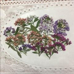 押し花素材PORON様専用のサムネイル