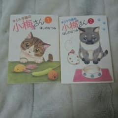 キジトラ猫の小梅さん ほしのなつみのサムネイル