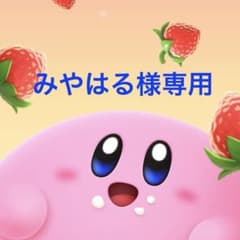 みやはる様専用のサムネイル